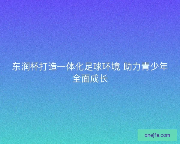 东润杯打造一体化足球环境 助力青少年全面成长 东润杯打造一体化足球环境 助力青少年全面成长